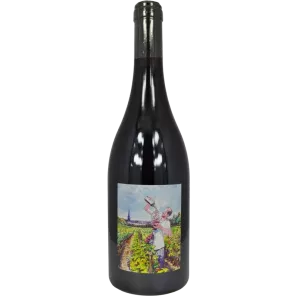 Amphore rouge 2016 | Domaine Saint Nicolas - Thierry Michon