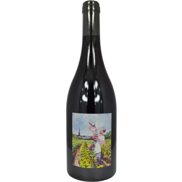 Amphore rouge 2016 | Domaine Saint Nicolas - Thierry Michon