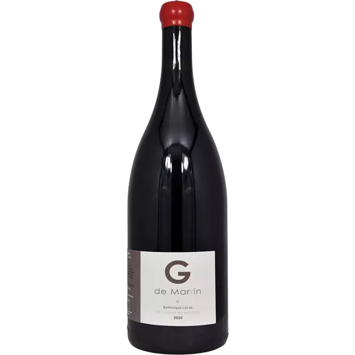 Les Vignes de Paradis - Magnum Gamay de Marin Amphore 2020