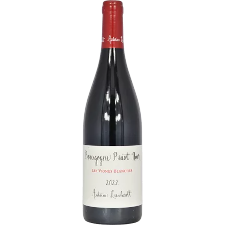 Antoine Lienhardt - Bourgogne rouge "Vignes Blanches" 2022
