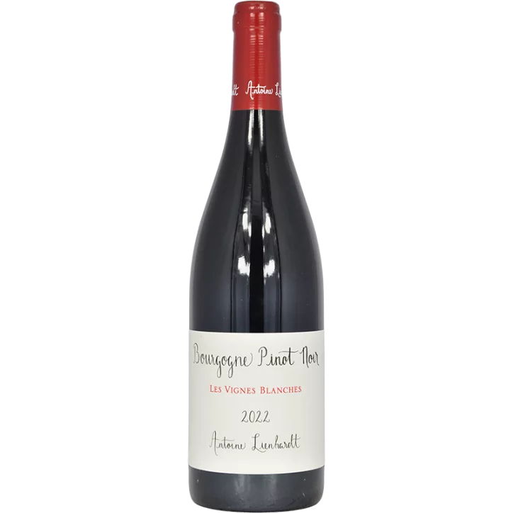 Bourgogne rouge "Vignes Blanches" 2022 | Antoine Lienhardt