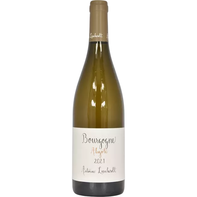 Bourgogne Aligoté 2021 | Antoine Lienhardt