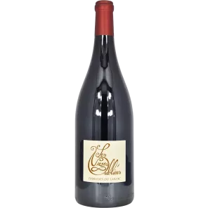 Magnum Terrasses du Larzac 2021 | I vigneti dimenticati