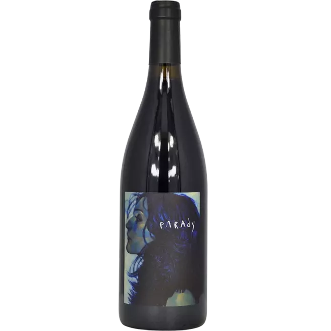 Saint-Joseph rosso PARAdy 2021 | Domaine Bernard Gripa