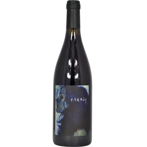 Saint-Joseph rosso PARAdy 2021 | Domaine Bernard Gripa