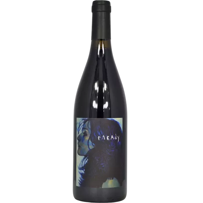 Saint-Joseph rosso PARAdy 2021 | Domaine Bernard Gripa