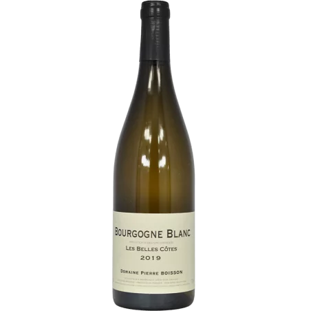 Bourgogne Les Belles Côtes 2019 blanc | Pierre Boisson