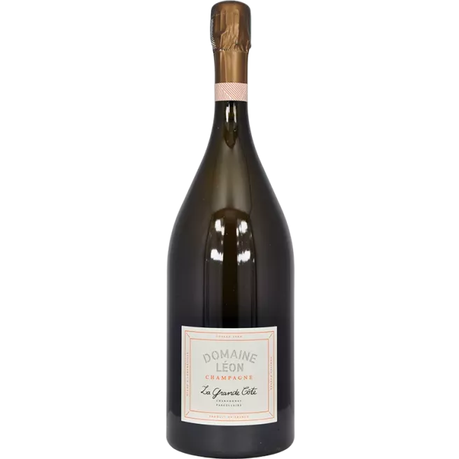 Magnum Champagne La Grande Côte 2020 | Domaine Léon
