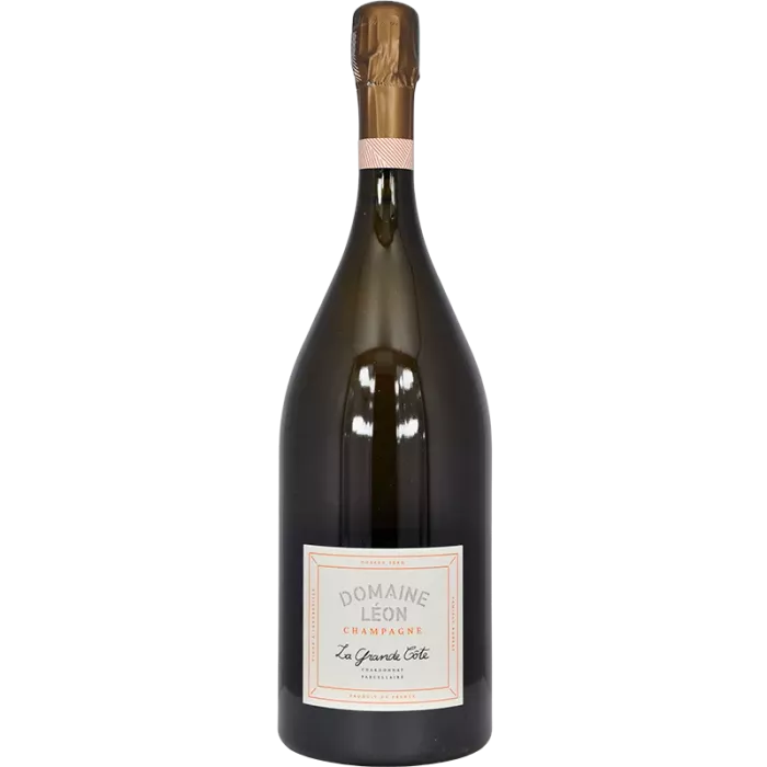 Magnum Champagne La Grande Côte 2020 | Domaine Léon