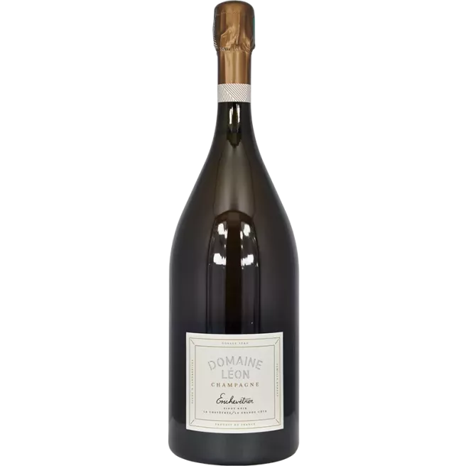 Magnum Champagne Enchevêtrer 2020 | Domaine Léon