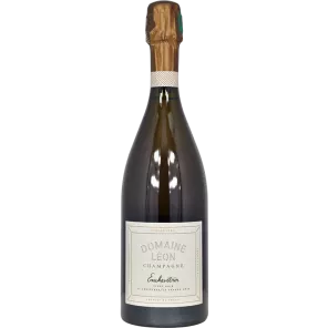 Champagne Enchevêtrer 2021 | Domaine Léon