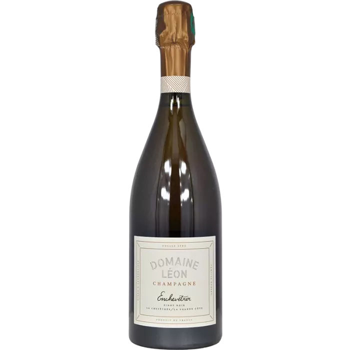 Champagne Enchevêtrer 2021 | Domaine Léon