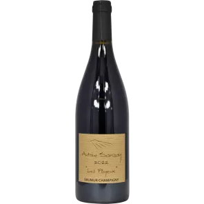 Saumur-Champigny Les Poyeux 2022 | Antoine Sanzay