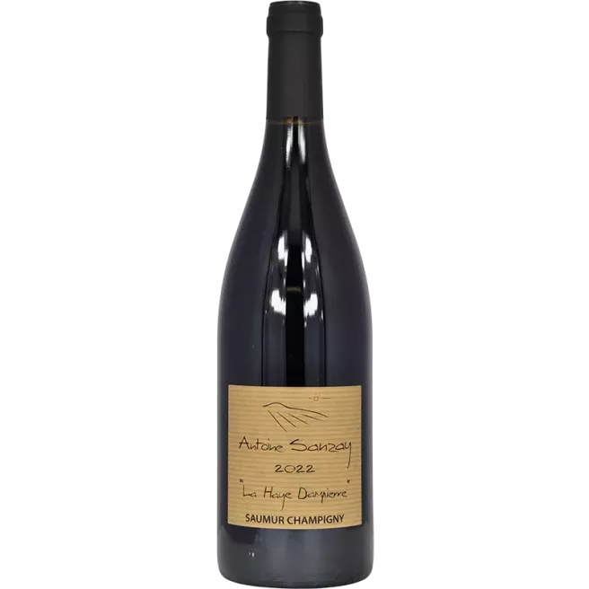 Saumur-Champigny La Haye Dampierre 2022 | Antoine Sanzay