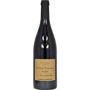 Saumur-Champigny La Haye Dampierre 2022 | Antoine Sanzay