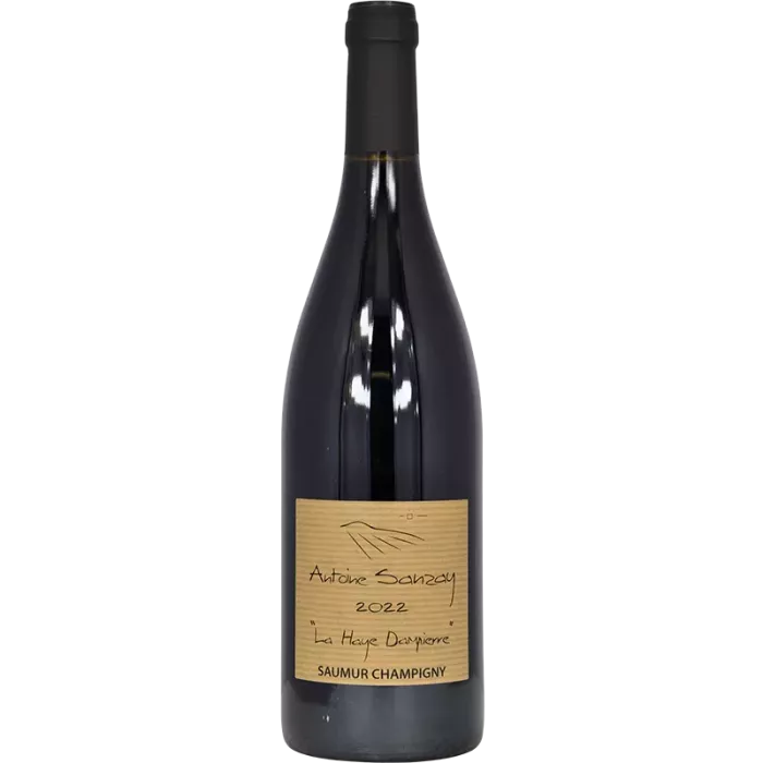 Saumur-Champigny La Haye Dampierre 2022 | Antoine Sanzay