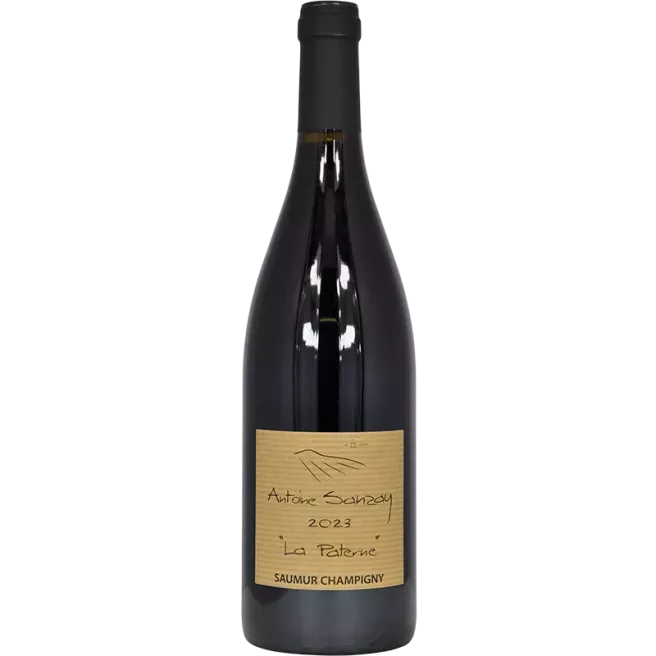 Saumur-Champigny La Paterne 2023 | Antoine Sanzay