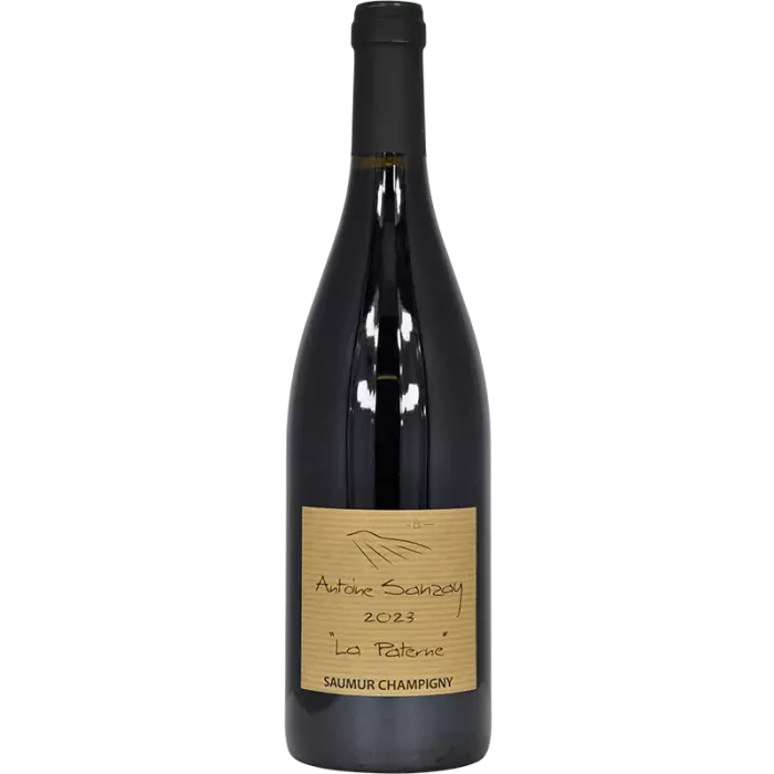 Saumur-Champigny La Paterne 2023 | Antoine Sanzay