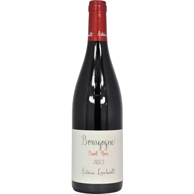 Borgogna rosso 2023 | Antoine Lienhardt