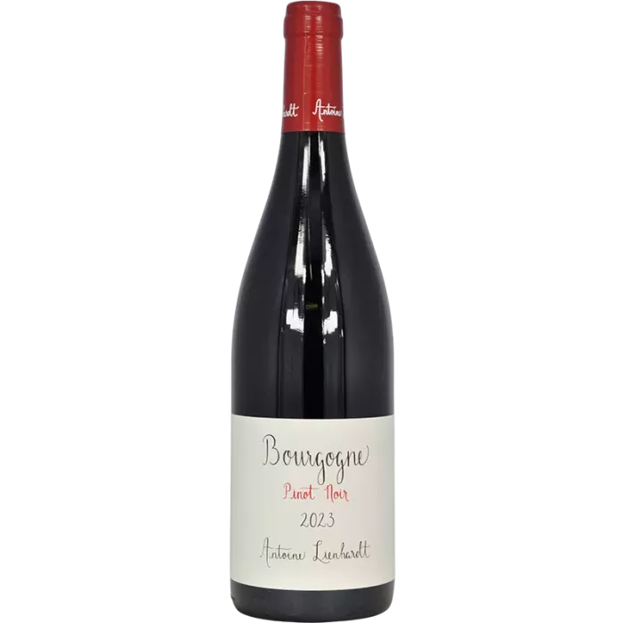 Borgogna rosso 2023 | Antoine Lienhardt