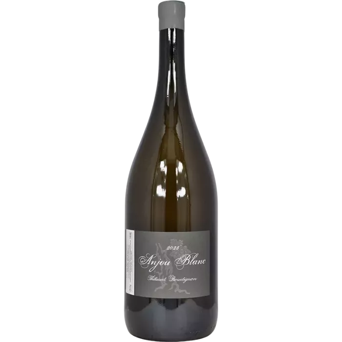 Magnum Anjou bianco 2023 | Thibaud Boudignon