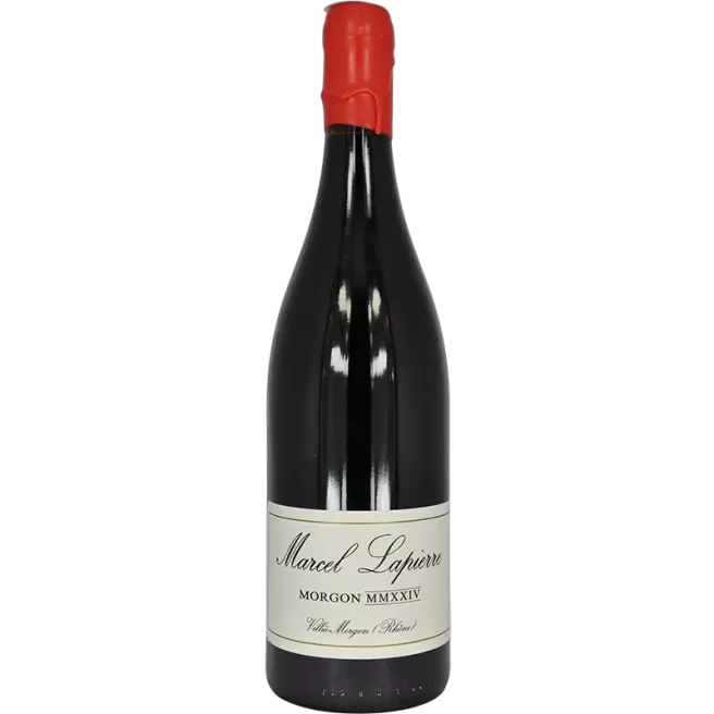 Morgon Cuvée Marcel Lapierre 2024 | Marcel Lapierre