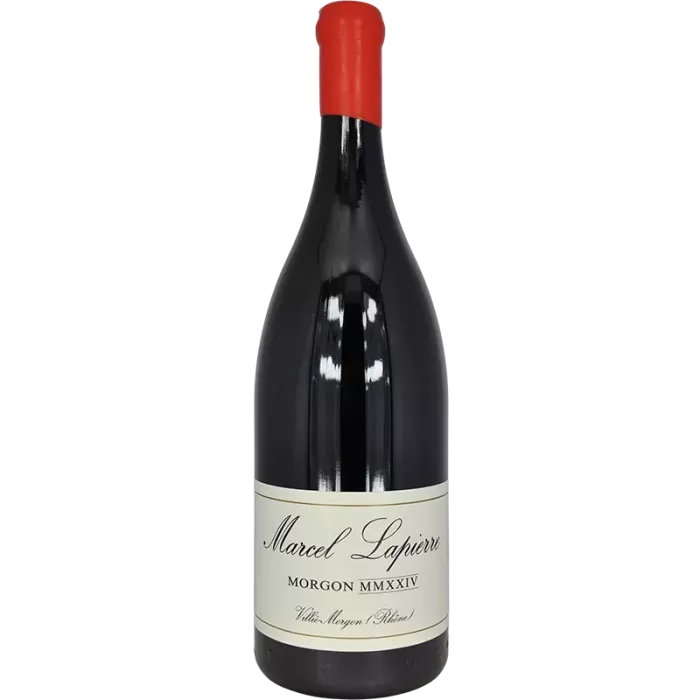 Magnum Morgon Cuvée Marcel Lapierre 2024 | Marcel Lapierre