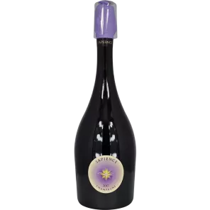 Sapience 1er Cru 2017 | Champagne Marguet
