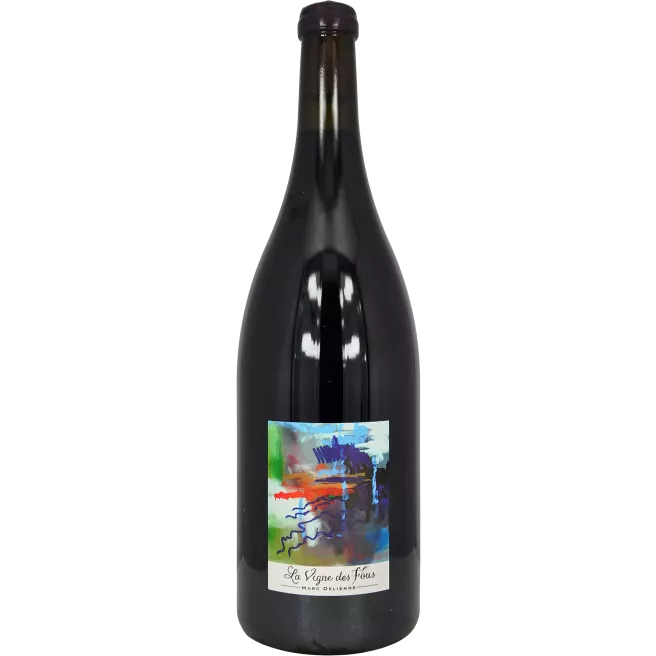 Magnum Fleurie La Vigne des Fous 2020 | Marc Delienne