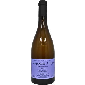 Bourgogne Aligoté Petit Puits 2023 | Sylvain Pataille