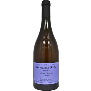 Borgogna bianco Pinot Beurot 2023 | Sylvain Pataille