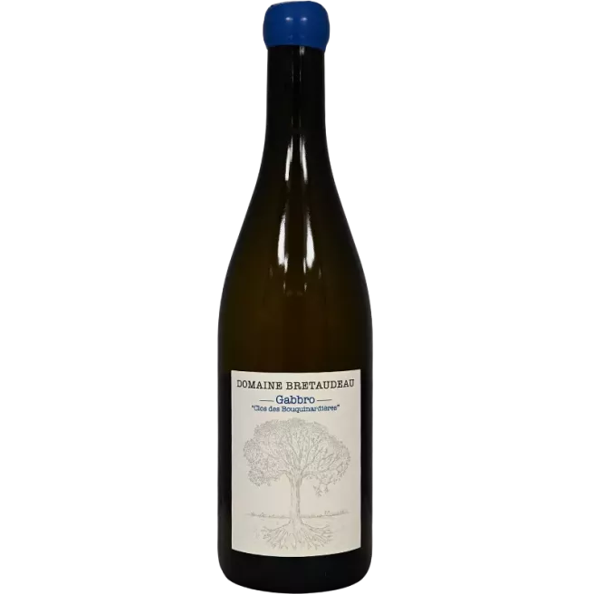 Muscadet Gabbro Clos des Bouquinardières 2023 | Jérôme Bretaudeau