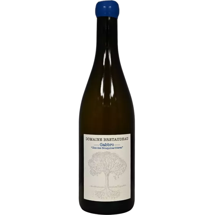 Muscadet Gabbro Clos des Bouquinardières 2023 | Jérôme Bretaudeau