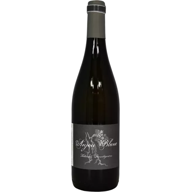 Anjou bianco 2024 | Thibaud Boudignon