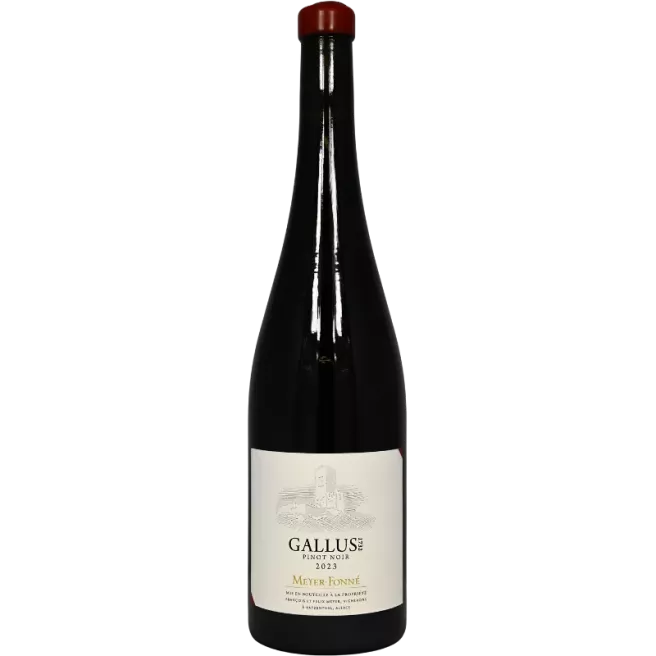 Pinot Nero Gallus 2023 | Meyer-Fonné