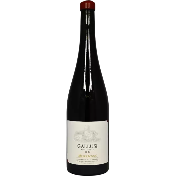 Pinot Noir Gallus 2023 | Meyer-Fonné