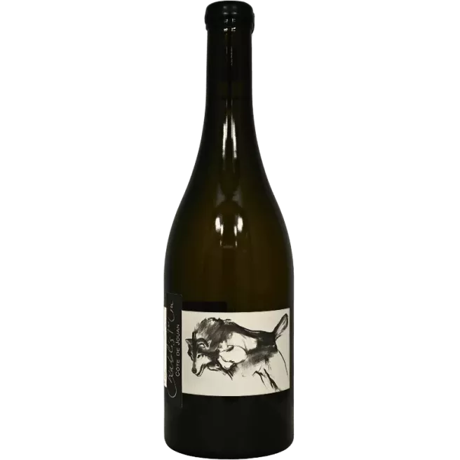 Chablis 1er Cru Côte de Jouan 2022 | Domaine Pattes Loup