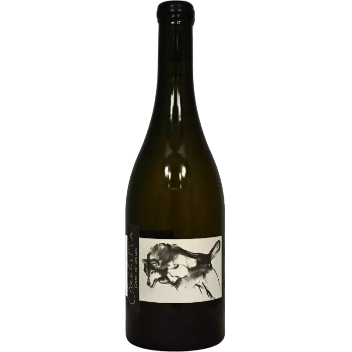 Chablis 1er Cru Côte de Jouan 2022 | Domaine Pattes Loup