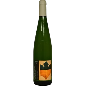 Pinot 2024 | Tenuta Ostertag