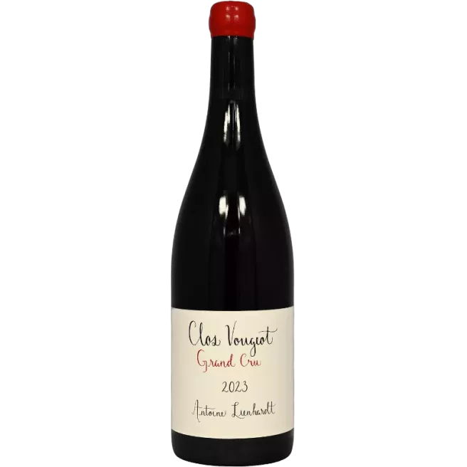 Clos Vougeot Grand Cru 2023 | Antoine Lienhardt