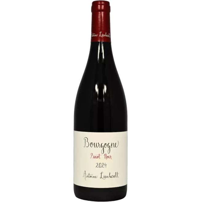 Borgogna rosso 2024 | Antoine Lienhardt