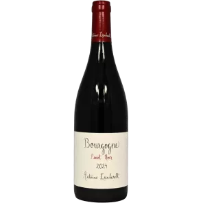 Borgogna rosso 2024 | Antoine Lienhardt