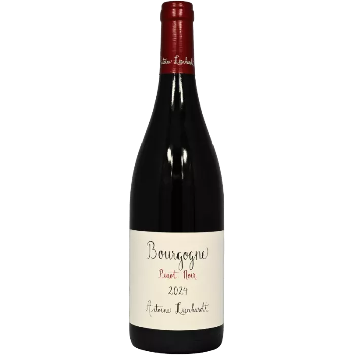 Borgogna rosso 2024 | Antoine Lienhardt