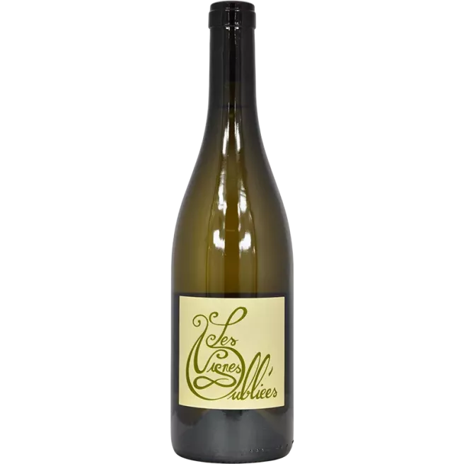 Les Vignes Oubliées bianco 2024 | Les Vignes Oubliées