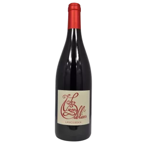 Intorno al Cinsault 2024 | I vigneti dimenticati