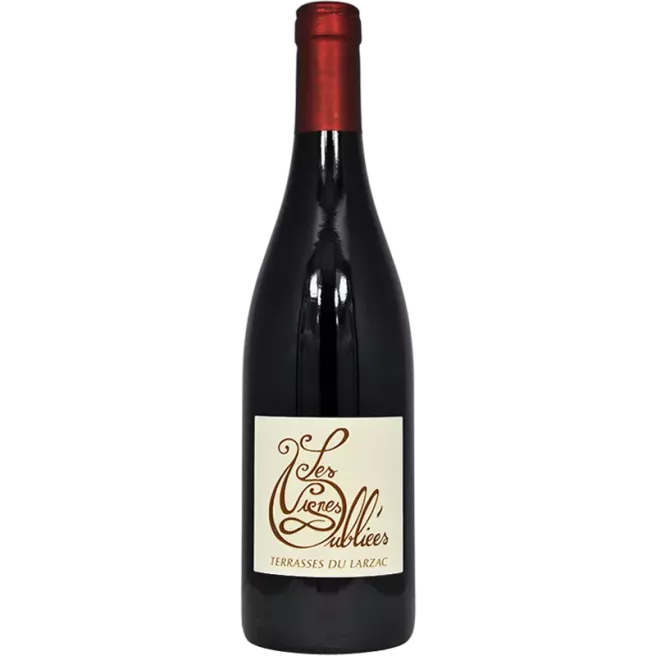 Terrasses du Larzac 2024 | I vigneti dimenticati