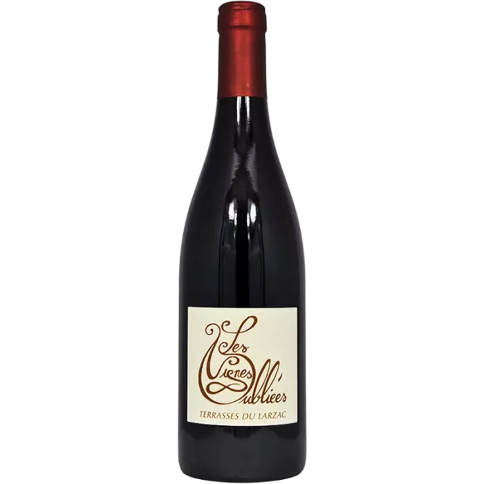 Terrasses du Larzac 2024 | I vigneti dimenticati