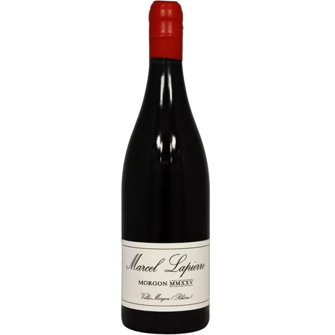 Morgon Cuvée Marcel Lapierre 2025 | Marcel Lapierre