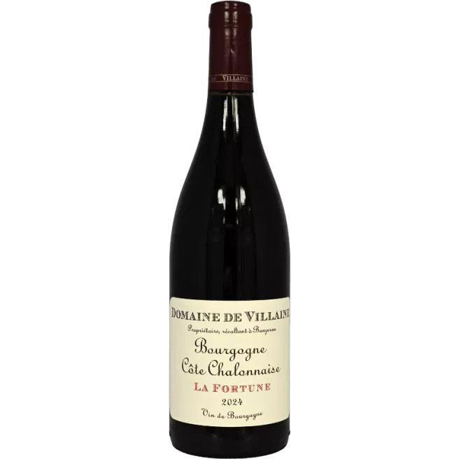 Bourgogne Côte Chalonnaise La Fortune 2024 | Domaine de Villaine