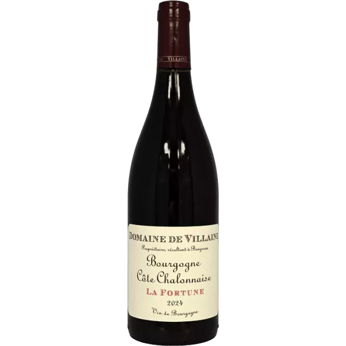 Bourgogne Côte Chalonnaise La Fortune 2024 | Domaine de Villaine